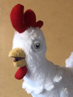 Huhn Henrietta